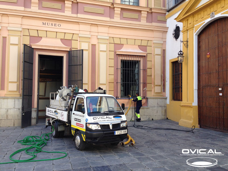 Trabajos mantenimiento Museo de Bellas Artes de Sevilla