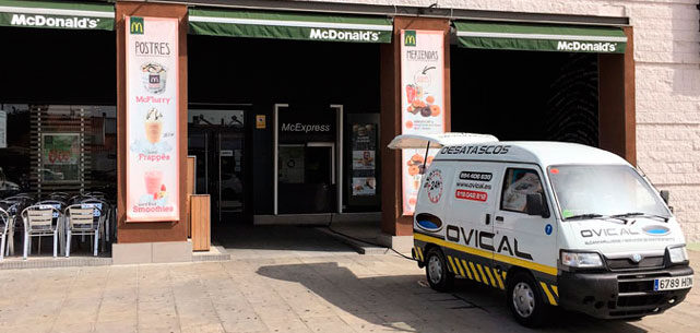 Mantenimiento y Limpieza de Establecimientos en el Sector Servicios