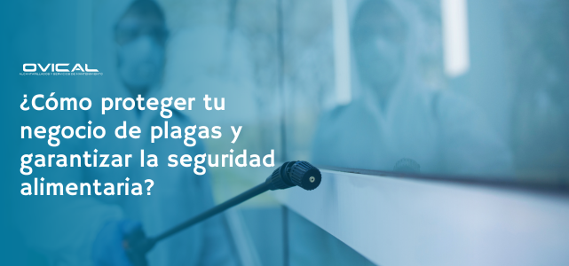 Plagas en hostelería y seguridad alimentaria | Ovical